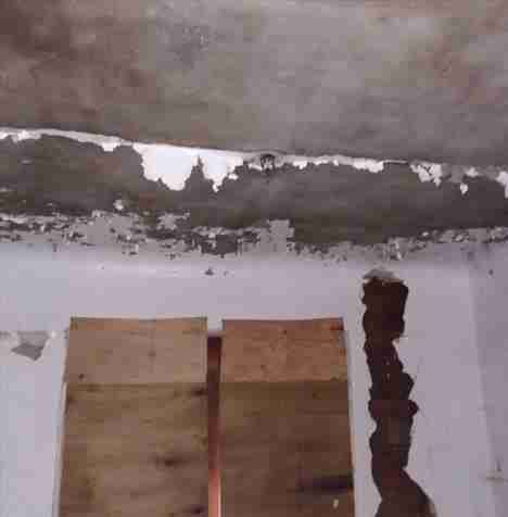 4200156_0021 (2).jpg